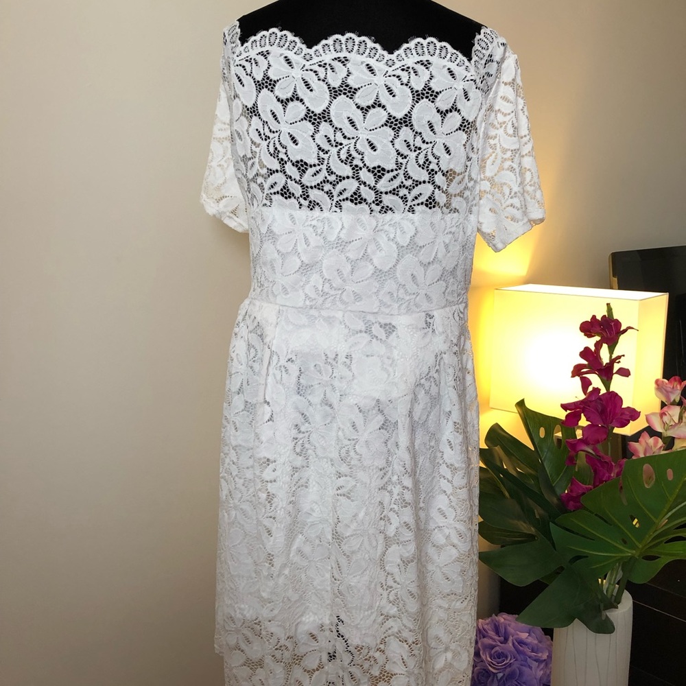 Women's Elegant Lace 3/4 Sleeve Crew Neck Dress - Picture 5 of 6